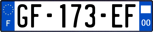 GF-173-EF