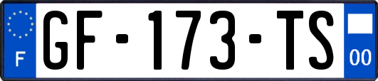 GF-173-TS