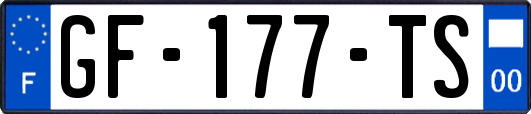 GF-177-TS