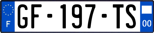 GF-197-TS