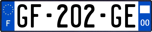 GF-202-GE
