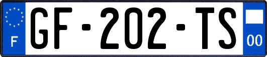 GF-202-TS