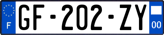 GF-202-ZY