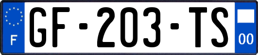 GF-203-TS
