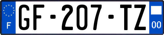 GF-207-TZ