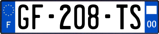 GF-208-TS