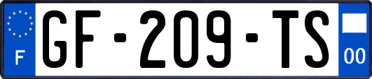 GF-209-TS