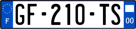 GF-210-TS
