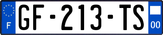 GF-213-TS