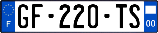 GF-220-TS