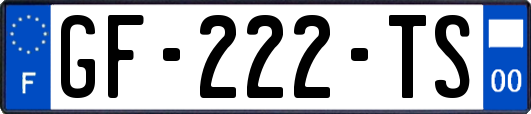 GF-222-TS