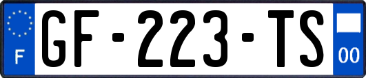 GF-223-TS