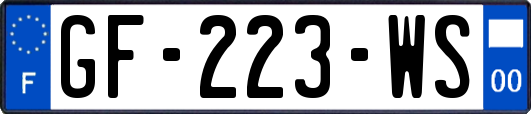 GF-223-WS