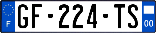 GF-224-TS