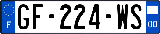 GF-224-WS