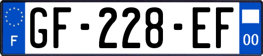 GF-228-EF