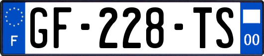 GF-228-TS