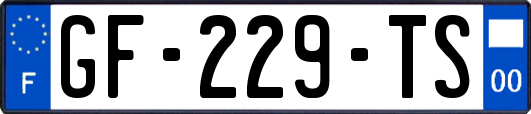 GF-229-TS