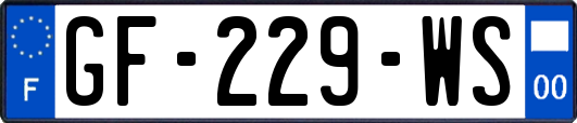 GF-229-WS