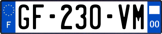GF-230-VM