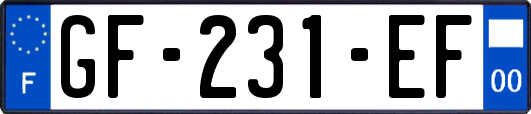 GF-231-EF