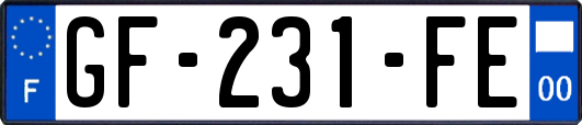 GF-231-FE