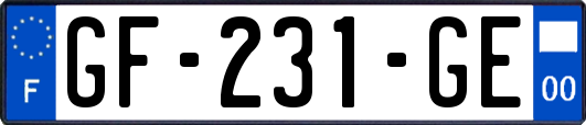 GF-231-GE
