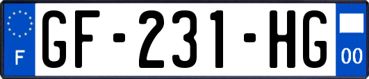 GF-231-HG