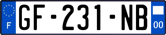 GF-231-NB