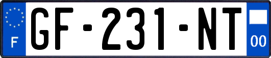 GF-231-NT