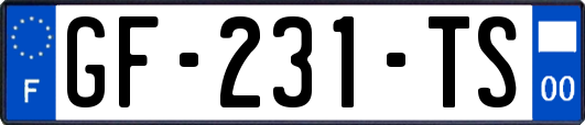 GF-231-TS