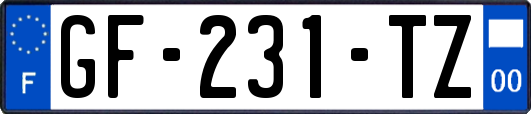 GF-231-TZ