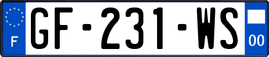 GF-231-WS