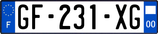 GF-231-XG