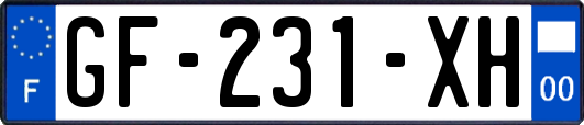 GF-231-XH