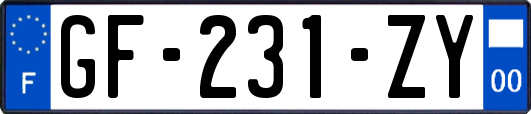 GF-231-ZY