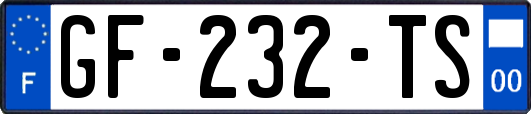 GF-232-TS