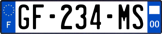 GF-234-MS