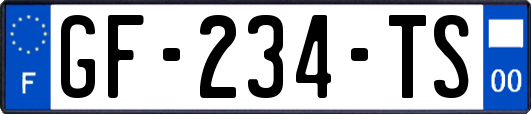 GF-234-TS