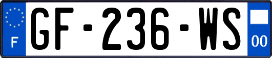 GF-236-WS