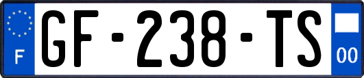 GF-238-TS