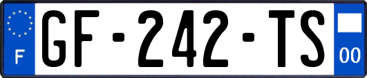 GF-242-TS