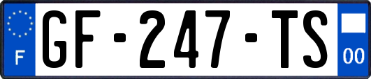 GF-247-TS