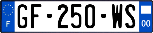 GF-250-WS