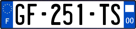 GF-251-TS