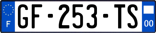 GF-253-TS