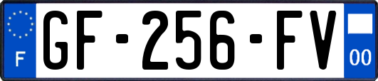 GF-256-FV