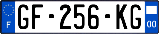 GF-256-KG
