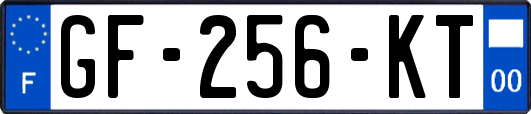 GF-256-KT