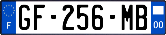 GF-256-MB